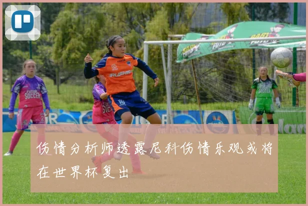 伤情分析师透露尼科伤情乐观或将在世界杯复出